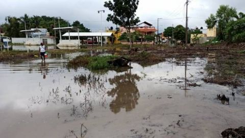 Estiman más de 50 mil afectados por lluvias en Chiapas y Veracruz