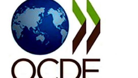 Se registran 10 candidatos a dirigir OCDE