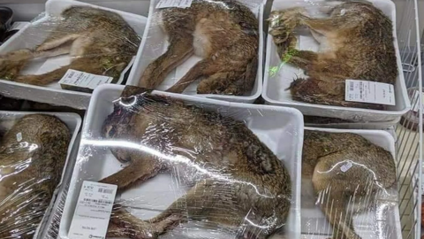 Indignación en Francia por supermercado que vende animales enteros en charolas