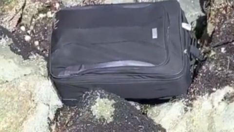 Investigan si restos encontrados en maleta son de un menor