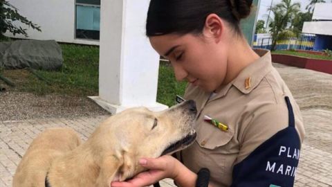 VIDEO: Marina adopta perrito que rescató en inundaciones de Tabasco