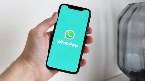 Cómo evitar que WhatsApp llene la memoria de tu teléfono