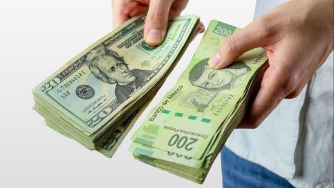 Dólar al mayoreo puede bajar hasta los 19.50 pesos al cierre de 2020