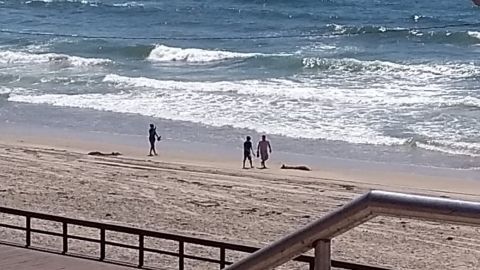 Casi se dobla tráfico de personas por mar entre Tijuana y San Diego