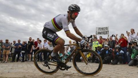 Roban la bicicleta con la que Peter Sagan ganó la París Roubaix en 2018