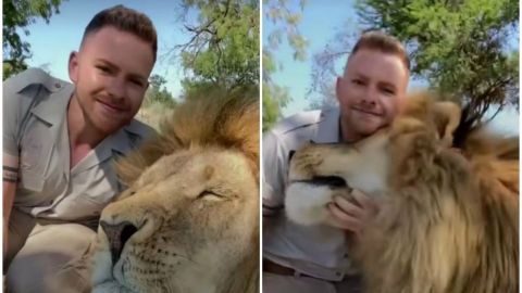 Hombre se hace mejor amigo de un león y su video conquista TikTok