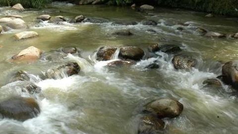 Río arrastra a excursionistas; suman cuatro muertos