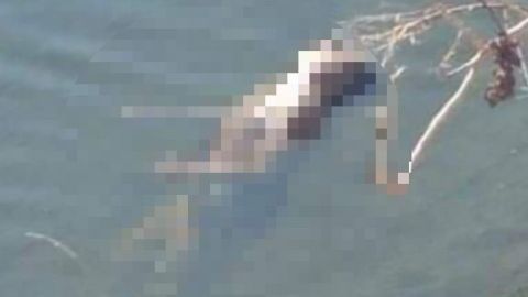 Reportan hombre ahogado en La Presa