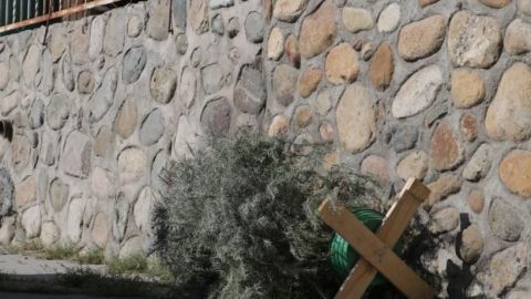 Puntos donde puede depositar el arbolito de navidad en Tijuana