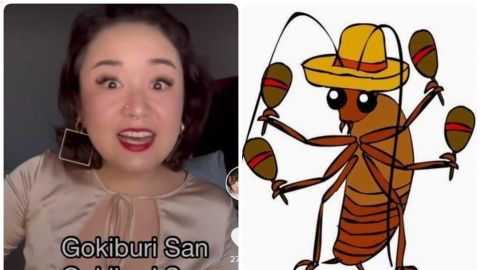 Joven causa furor en TikTok por cantar ''La Cucaracha'' en japonés
