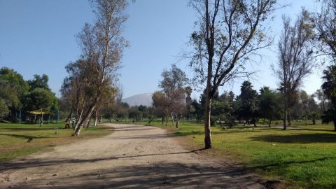 VIDEO: Parque Morelos, excelente opción para la familia