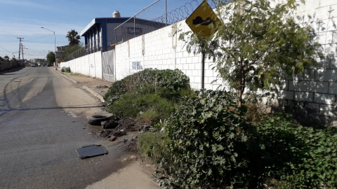 Vecinos denuncian gran bache y banquetas obstruidas por maleza