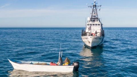 Cerrará Sea Shepard operaciones en México
