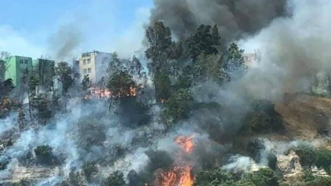 Cuatro fuertes incendios atendió hoy Bomberos por condición Santa Ana