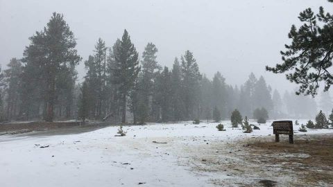 Cae la primer nevada del año en Sierra de San Pedro Mártir