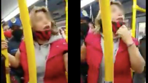 #LadyPerro: Mujer pelea por que le negaron el acceso al metro con su mascota
