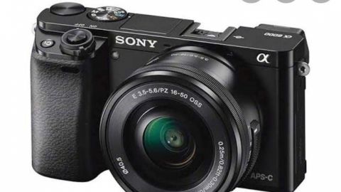 Denuncian robo de pertenecías en vehículos en la Colonia Cacho