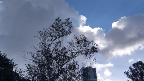 Alerta por rachas de viento de hasta 100 kilómetros por hora