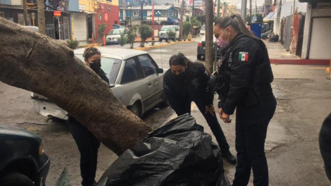 Mujer en Tijuana sufre a la intemperie