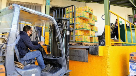 Animalitos del zoológico del Parque Morelos reciben 700 kilos de fruta