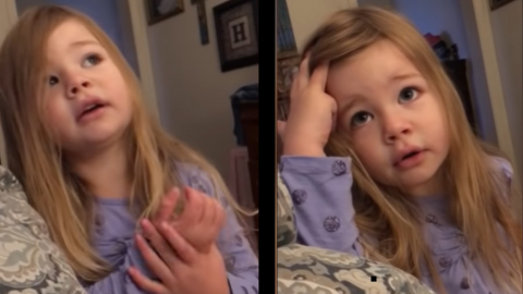 🤣 VIDEO: Niña 'regaña' a su padre por no bajar la tapa del inodoro