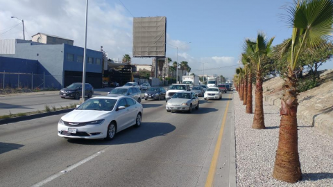 Palmeras en vía rápida, propician vandalismo