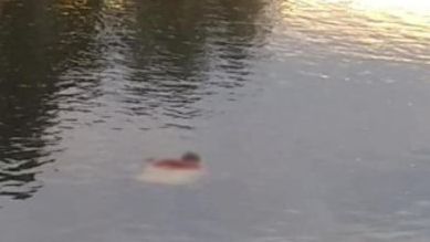 Encuentran cuerpo flotando en el canal