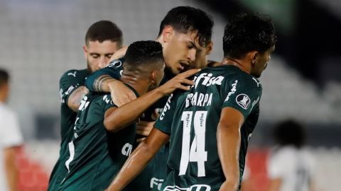 Palmeiras empata con Botafogo antes de viajar a Catar para el Mundial de Clubes