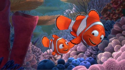 Teoría de 'Buscando a Nemo' plantea que el pececito nunca existió