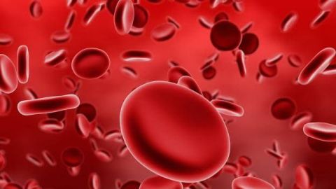 Solicitan donadores de sangre urgente