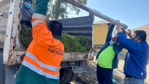 Van más de 200 jornadas de limpieza en Tijuana