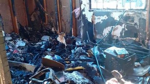 Mueren tres perritos calcinados en incendio: Familia pierde parte su hogar