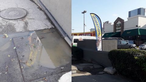 Aguas negras en la vía pública