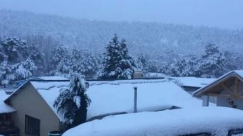 Esperan nieve en el norte del país: Conagua