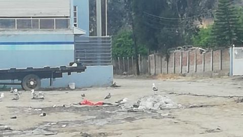 Sigue contaminación en Parque pesquero de Ensenada