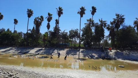Drenan y limpian lago de Parque  Morelos