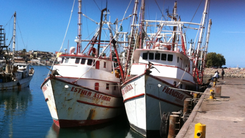 Pesca deportiva y turística comienza recuperación económica