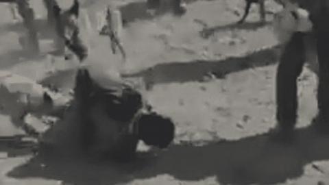 VIDEO: Con ataque de perros, pobladores detienen a ladrón de caballos