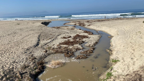 Cierre precautorio de playa en Ensenada