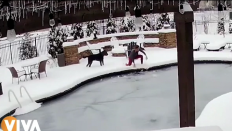 VIDEO: Mujer se sumerge en PISCINA CONGELADA para salvar a su perrito