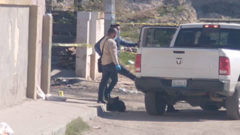 Dejan restos humanos en la calle en Urbi Villas del Prado