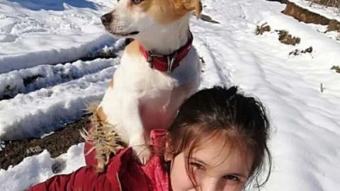 Por amor a su perro, niña camina más de dos kilómetros sobre la nieve
