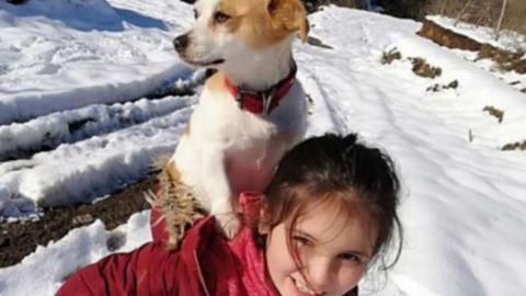 VIDEO: Niña recorre kilómetros en busca de un veterinario para su perrito enfermo