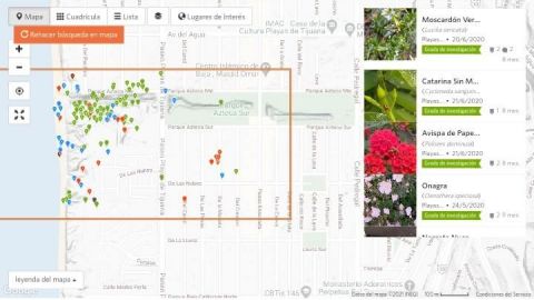 Cañada Azteca, un lugar único en la región de BC en riesgo de desaparecer