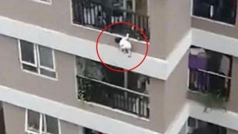 VIDEO: Hombre atrapa en el aire a menor que cayó desde 40 metros de altura