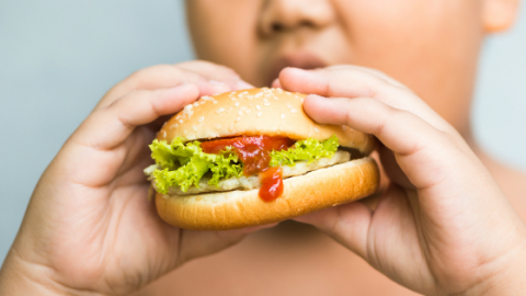 Aprueba Comisión de Salud iniciativa para combatir la obesidad infantil en BC