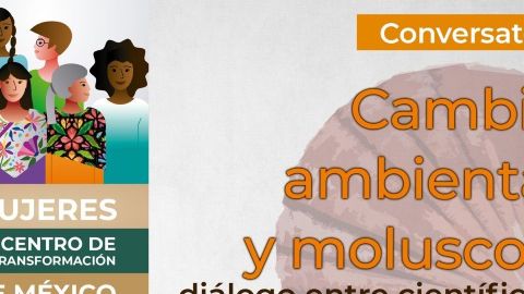 Cambio ambiental y moluscos: diálogo entre científicas