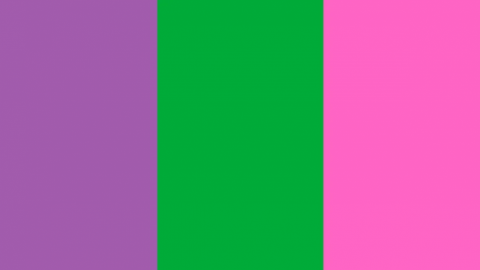 Bandera feminista 2021. ¿Qué significan los colores violeta, verde y rosa?