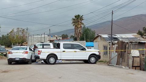 Reportan 7 homicidios y una persona lesionada en Tijuana
