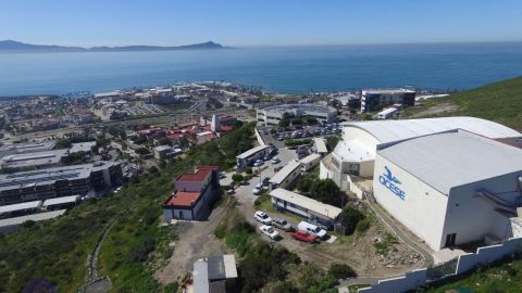 Recibe Cicese  nombramiento de coordinador de la redOTT